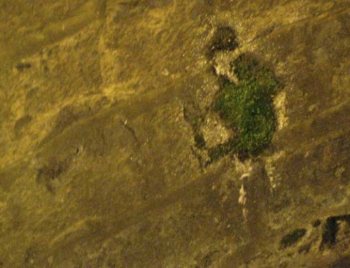 Detecting & Repairing Slab Leaks