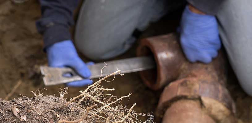Plumbing Contractor in Brookhaven GA | Ridgeway Plumbing Atlanta