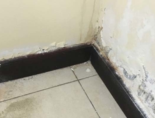 Keep Your Home Mold and Mildew Free