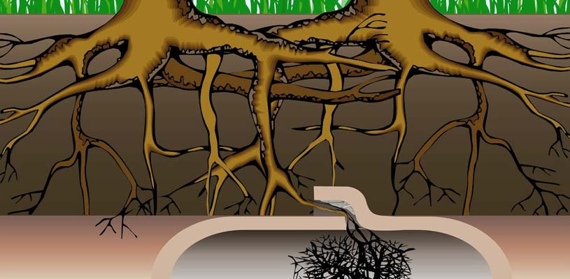 Sewer Line Installation, Repair & Replacement | Atlanta, GA