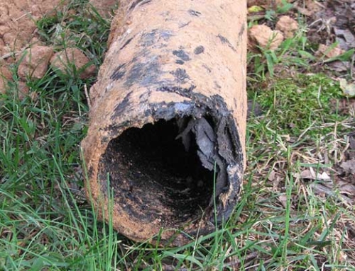 When is it Time for Sewer Line Repair?